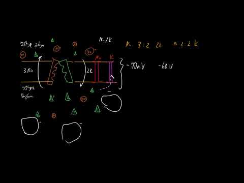 ნატრიუმ-კალიუმის ტუმბოს ვიდეოს შესწორება