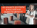 Выводите доллары из банков России! Не храните валюту у брокеров! Как вывести деньги?