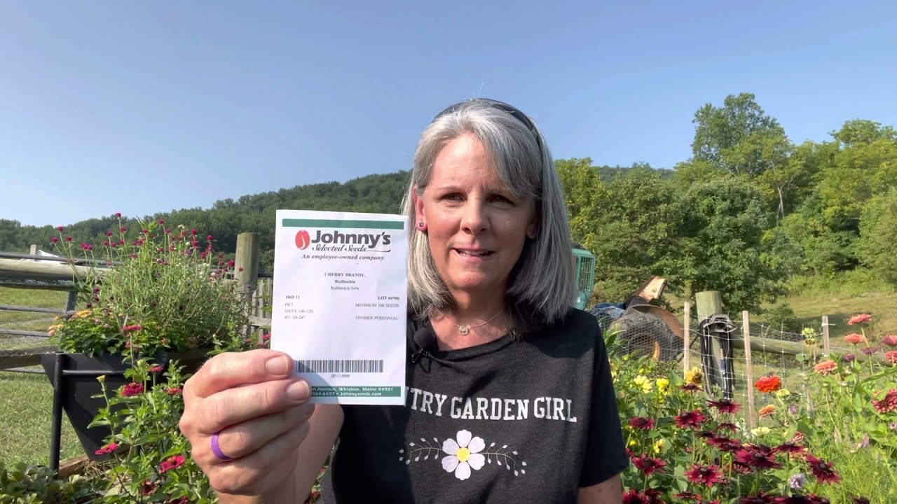 Autumn Vibes 🍂My Favorite Rudbeckia | Country Garden Girl 👩🏼‍🌾