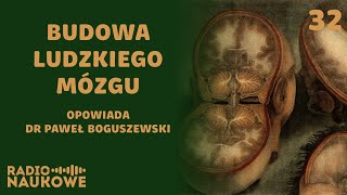 Czy mózg jest jak cebula? O budowie najważniejszego organu | dr Paweł Boguszewski