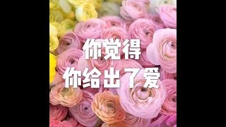 201803 你觉得你给出了爱23737