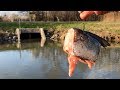 Fishing for CREEK MONSTERS!!! (Giant Baits)