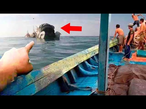 سر مرعب اكتشفه البح ارة في وسط المحيط أثار الذعر وصدم العالم