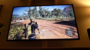 Wildlands texture darkening with motion