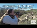 MONTERIA EL TAMARAL // ORGANIZADA POR MONTEROS DEL OJAILÉN