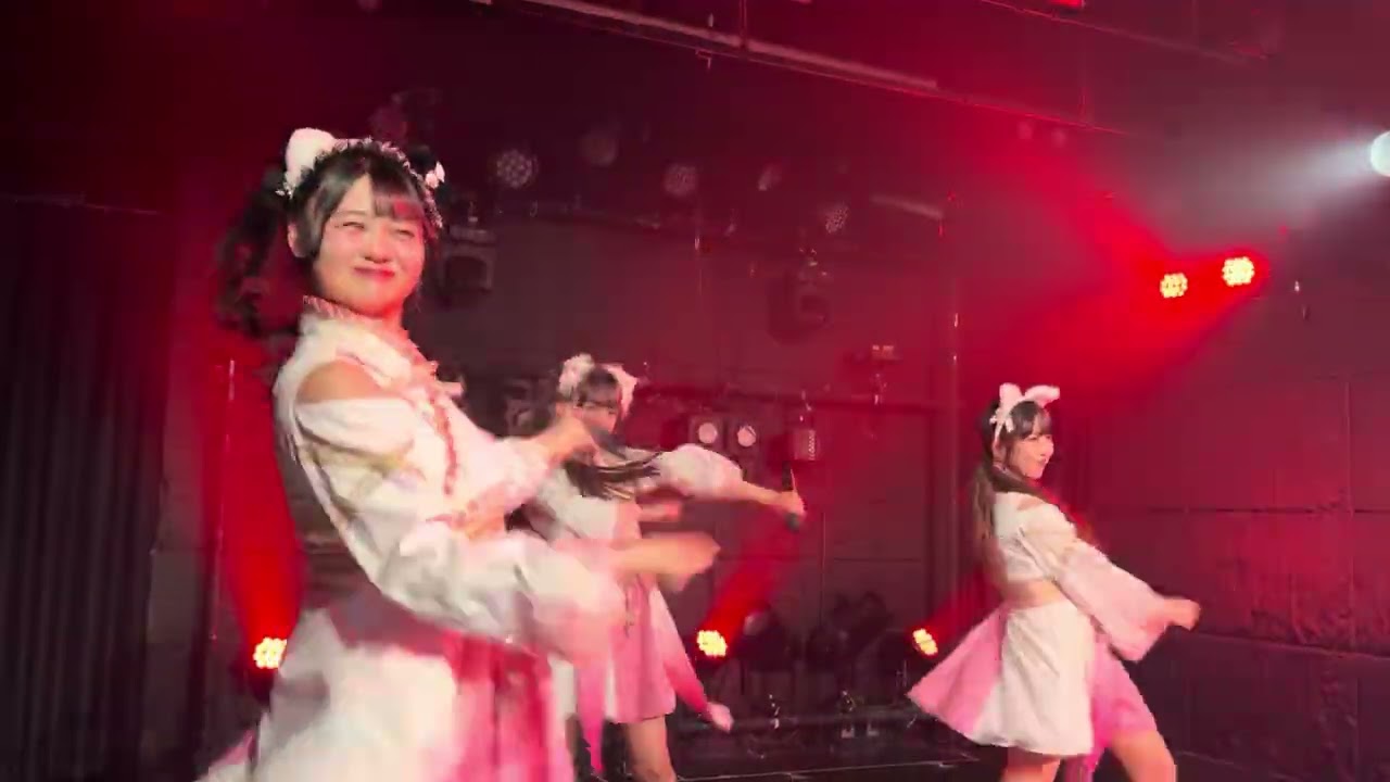 2026.2.22. #山茶花物語 #撫子の音返し　#木花美愛　#推しカメラ　#はなまるっvol124 #浅草vampkin