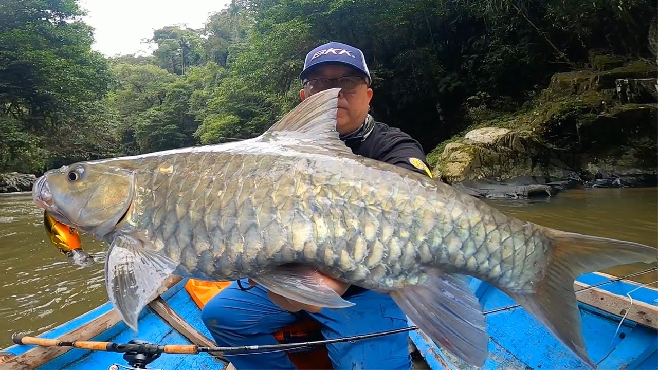 BKK - Viper-41 - Kapuas River with Eddy Fishing