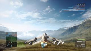 Double road kill with jet