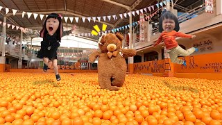 Main Mandi Bola Di Kejar Beruang Raksasa - Mandi Bola Terbesar di Indonesia Giant Balls Pit by harper apple 2,954 views 4 weeks ago 10 minutes, 38 seconds