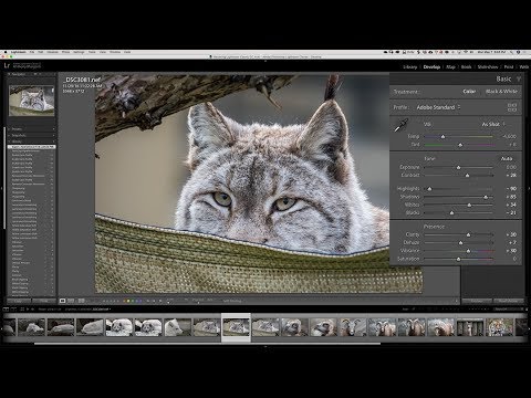 adobe lightroom free training