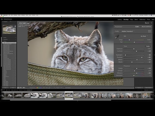 lightroom 6 tutorial pdf