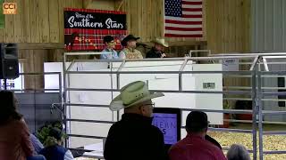 Return of the Southern Stars Sale Campbellsburg KY MAY 2025_May10_11-00-24.mp4