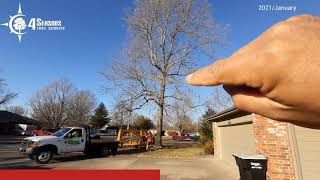 Tulip Tree Heavy Pruned Back From The House - Project 2020-306 David P - Springfield, Mo.