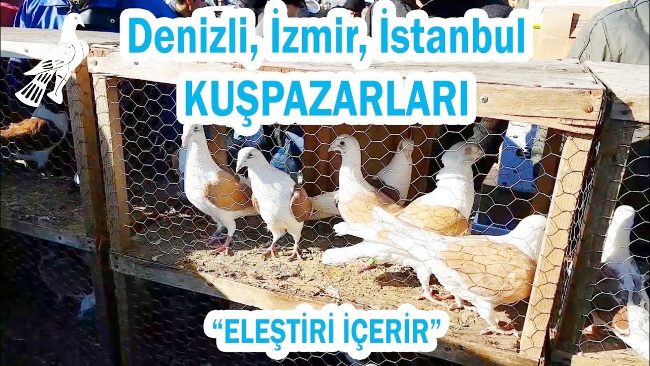 Denizli, İzmir, İstanbul Kuş Pazarları | ELEŞTİRİ İÇERİR..!