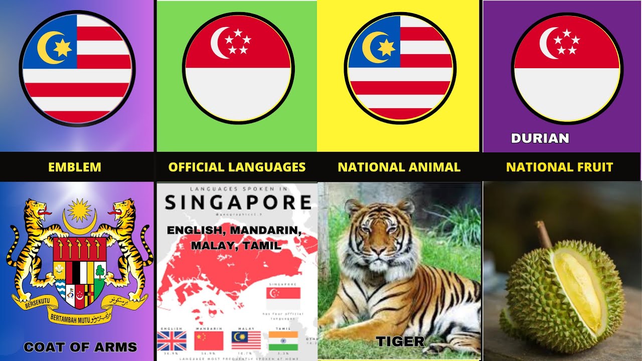 malaysia-vs-singapore-country-comparison-youtube