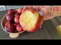 Chilean Nectarines By Annessa Chumbley-15