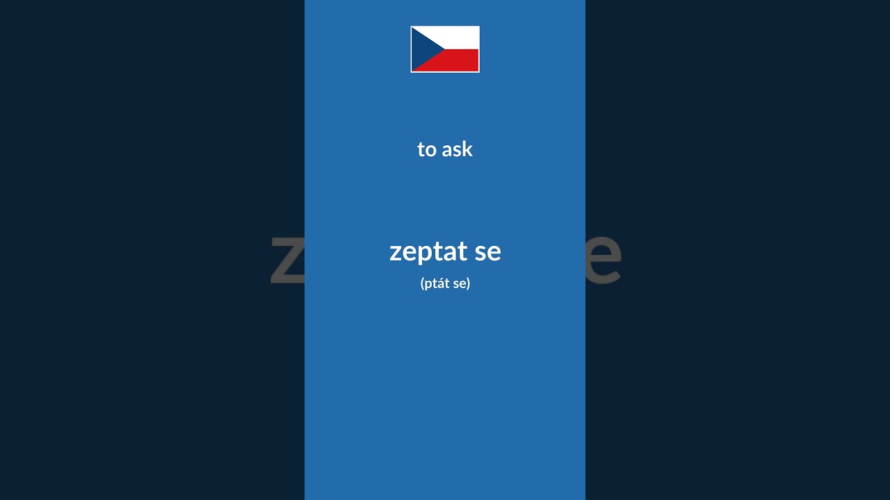 Basic Czech Verbs 