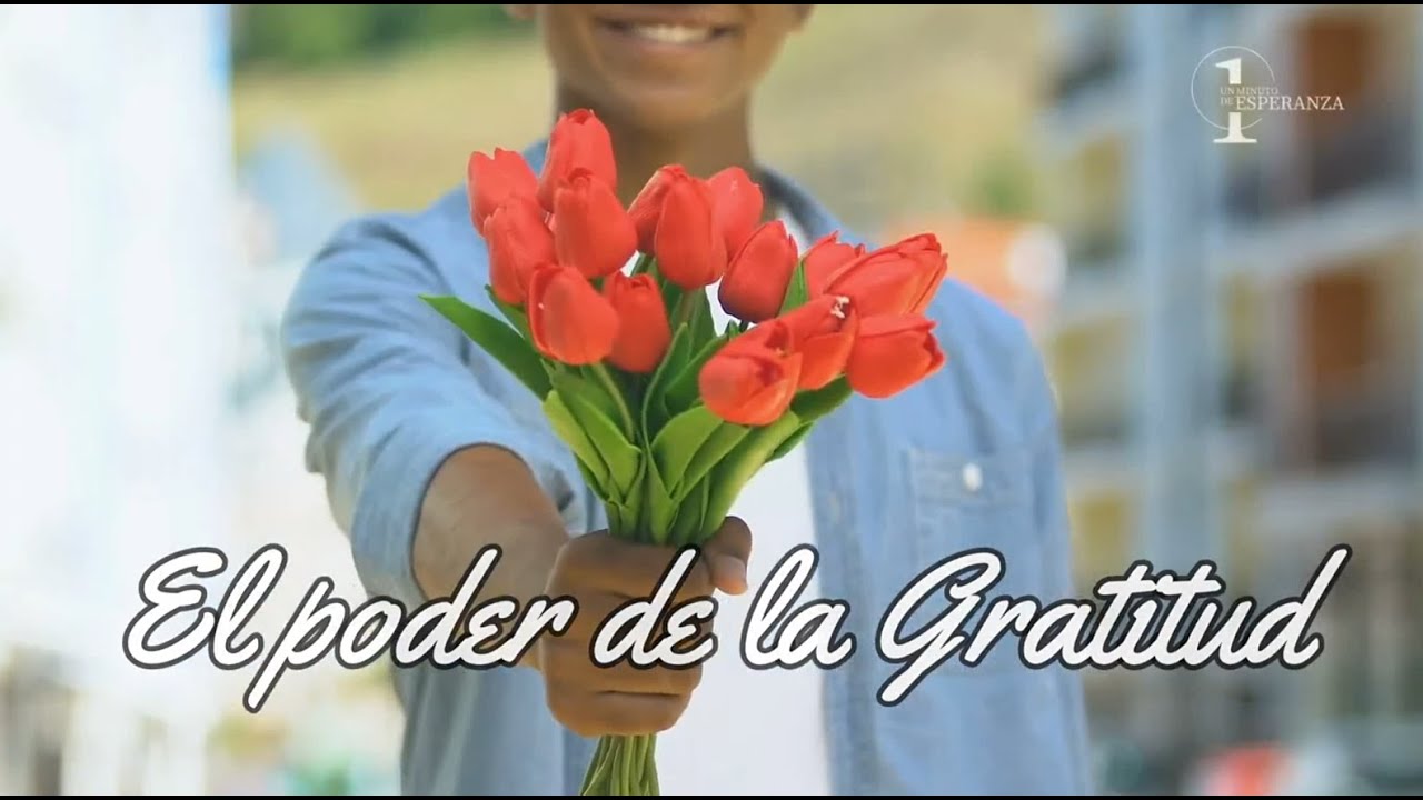 EL PODER DE LA GRATITUD - YouTube