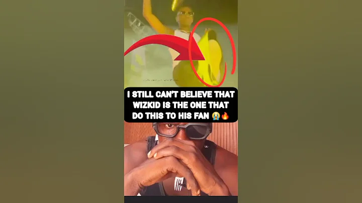 Wizkid Kicked His Fan On Stage During Afro Fest Festival Live In Washington DC