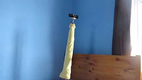 Bio-Inspired Robotics - Dodging Snake