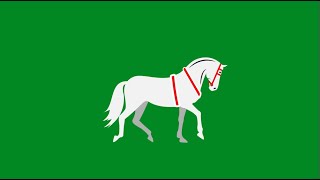 White Horse Running Green Screen Video | White Horse 1080p.HD Green Screen Video | Beautiful Horse.