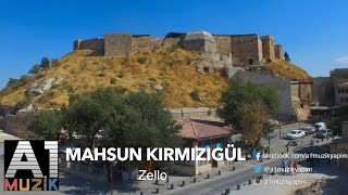 Mahsun Kırmızıgül - Zello Resimi