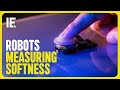How Can a Haptic Device Let Robots Measure Softness?