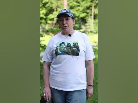 Шикарные многолетники длительного цветения для Вашего сада - YouTube