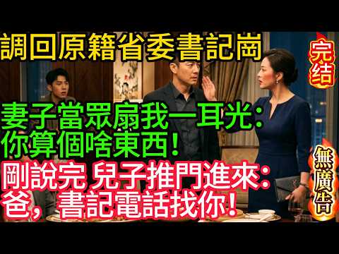【無廣告】調回原籍省委書記崗，妻子當眾扇我一耳光：你算個啥東西！剛說完，兒子推門進來：爸，書記電話找你！#家庭故事 #深夜故事 #完结文#情感故事#一口气看完