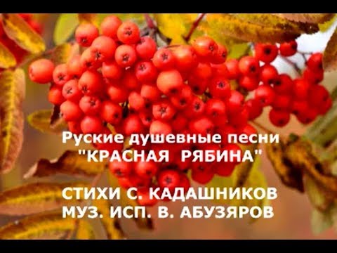 РУССКИЕ ПЕСНИ «КРАСНАЯ РЯБИНА» слушать СТИХИ СТЕПАН КАДАШНИКОВ скачать ЛУЧШИЕ НАРОДНЫЕ ПЕСНИ онлайн