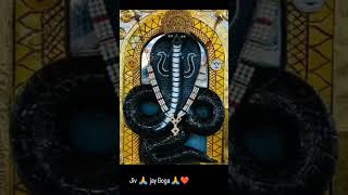 Download Lagu jay Gaga maharaj  🙏❤️👑 MP3