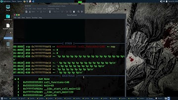 picoCTF PIE TIME 2 Walkthrough Medium level binary exploitation  0x2