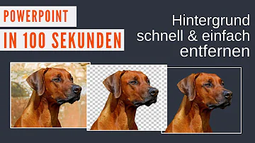 Wie kann man von einem Bild den Hintergrund entfernen?