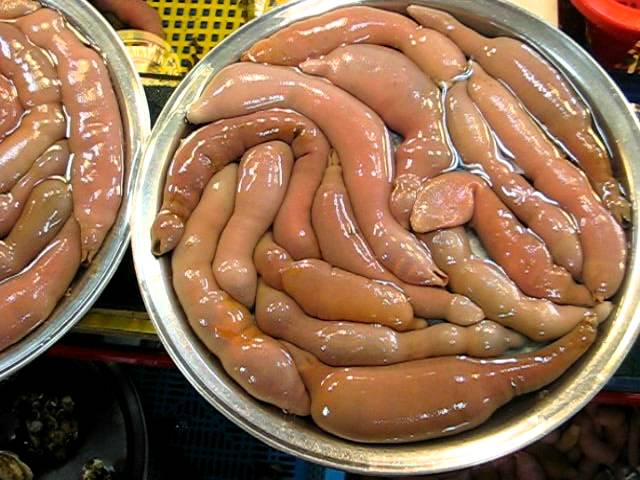 Weird Penis Tumblr
