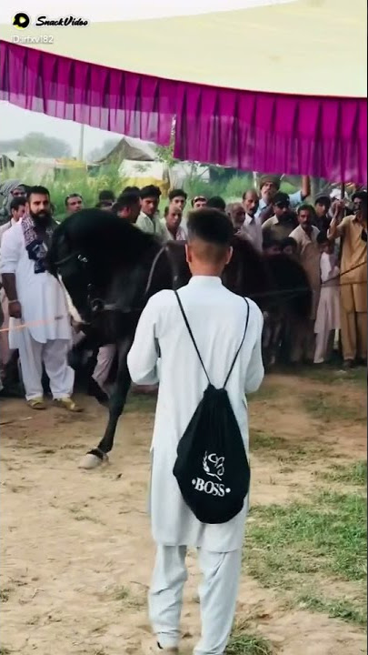 MSF KASUR