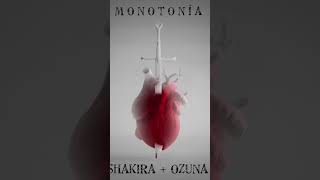 Monotonia 19 De Octubre