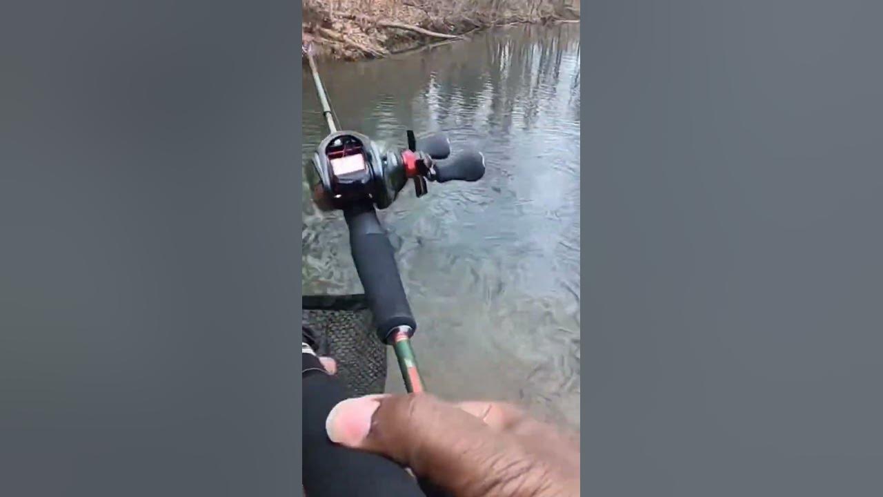 Shimano slx bfs casting a fly fishing lure catching a big rainbow