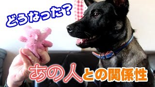 【仲良し?】琥白さんとあの人の現在【まだビビる?】