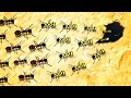 ENDLESS ANT ARMIES Battle for Domination in Empires of the Undergrowth Tug of War!