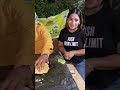 Tandoori Chicken Omelette With Avocado🥑😍#subscribe #shorts #like #share #youtubeshorts