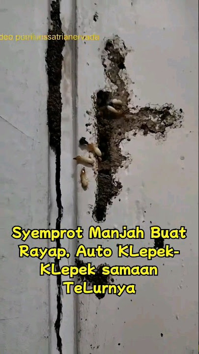 pembasmi rayap super ampuh produk link di bio no 247