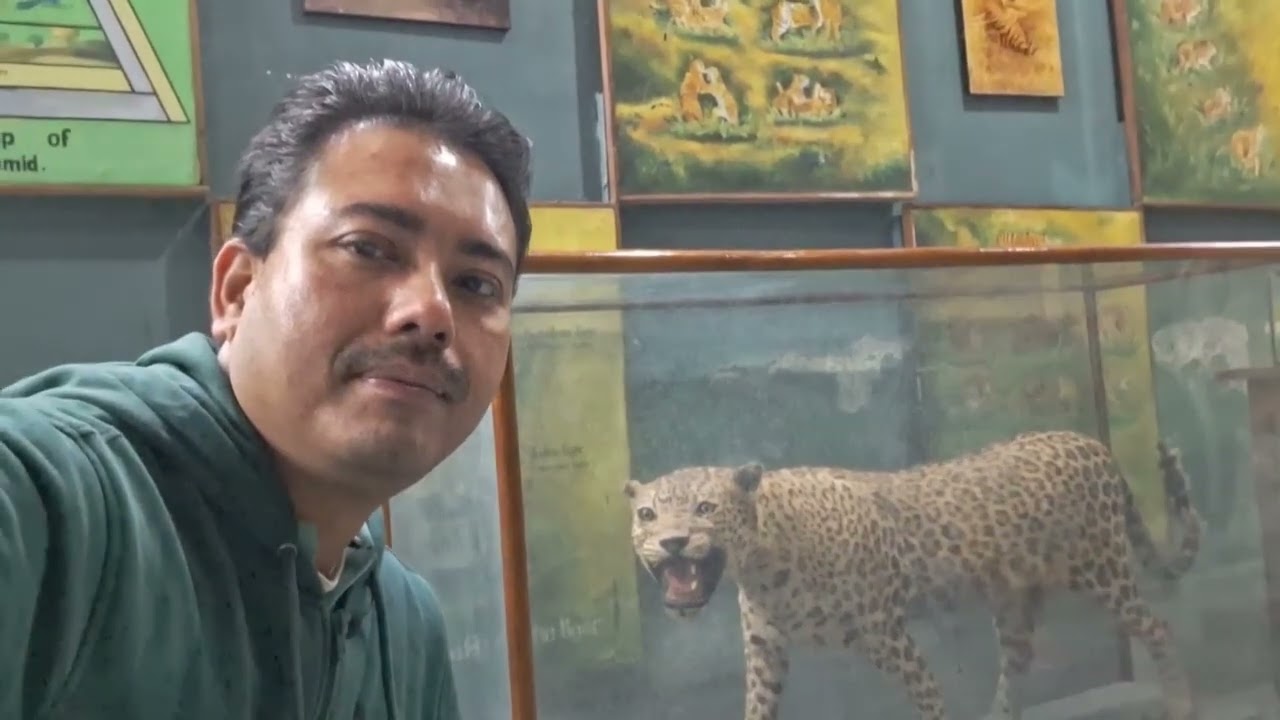 🌳 🐅 FOREST DOOARS - BUXA TIGER RESERVE, JUNGLE SAFARI, WILDLIFE MUSEUM, MOUNTAINS, RIVER JAYANTI🐆 🌳