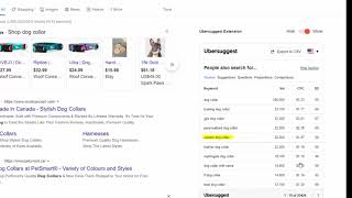 How Do You Choose the Best Keywords For the Purpose of SEO / Ubersuggest