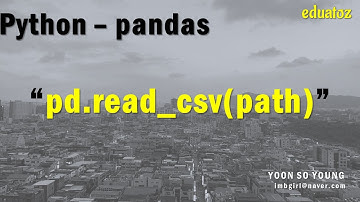 [PYTHON][pandas_04] csv 파일 읽어 DataFrame으로 가져오기