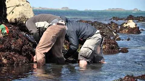 Où pêcher à Pleubian ?