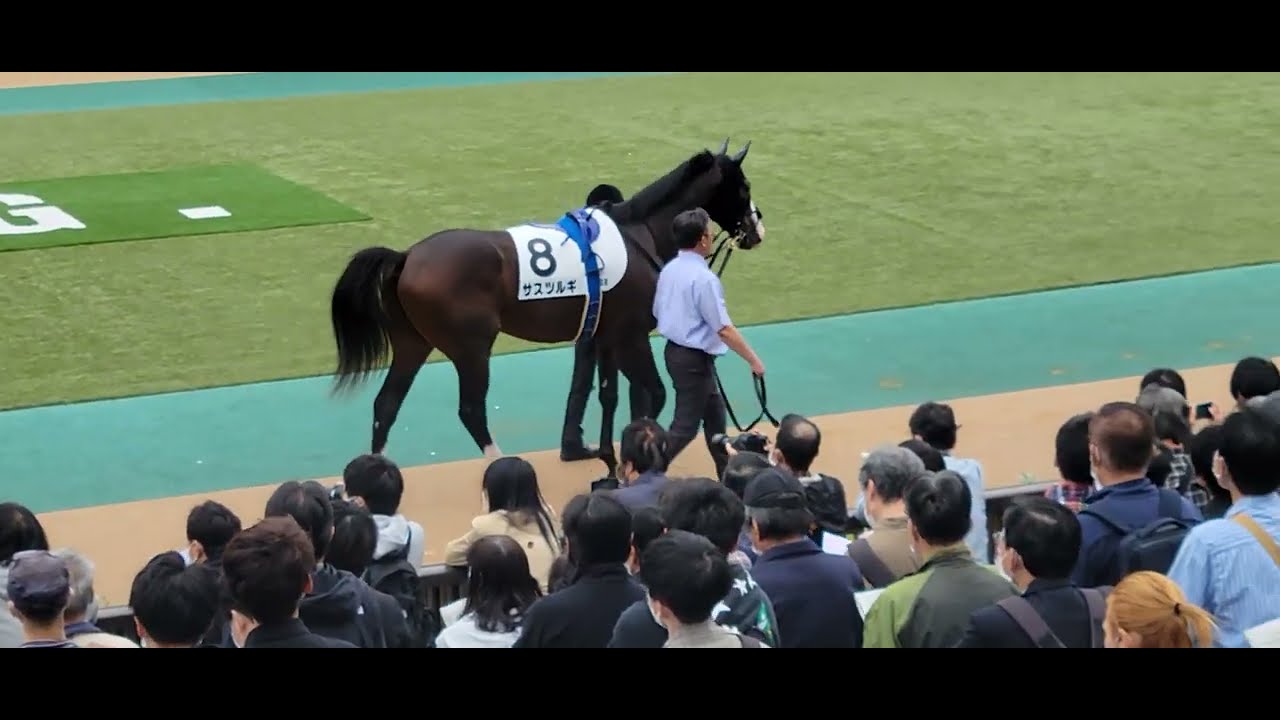 22 10 22 東京第3r 未勝利をサスツルギが優勝 パドック 検量室前の様子 Youtube