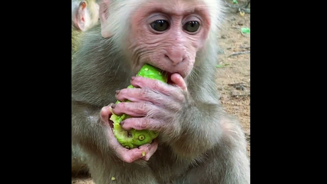 My baby eats delicious fruit 