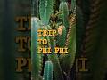 Weekend on Phi Phi islands 🌴 #travel #thailand