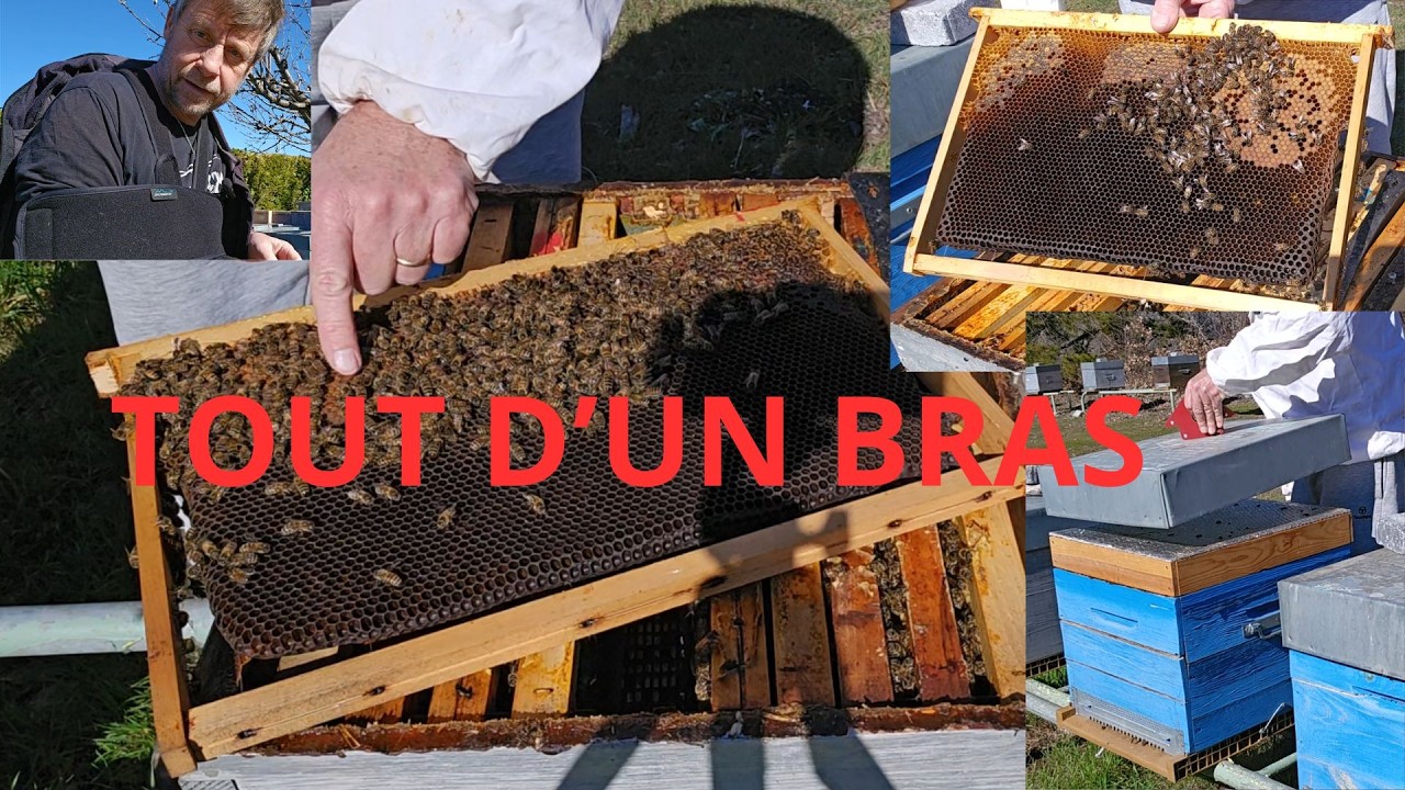 Saison 5 Épisode 2. On ouvre enfin mais avec un bras.