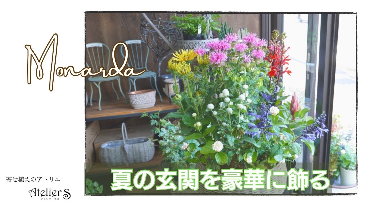 寄せ植え】夏の玄関先は華やかで豪華に！【ガーデニング】 - YouTube
